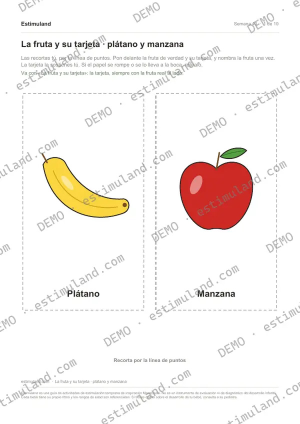 La fruta y su tarjeta · plátano y manzana — hoja 1 de 10, en muestra