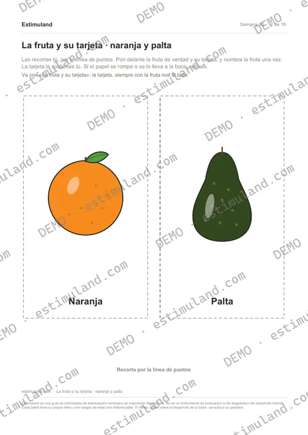 La fruta y su tarjeta · naranja y palta — hoja 2 de 10, en muestra