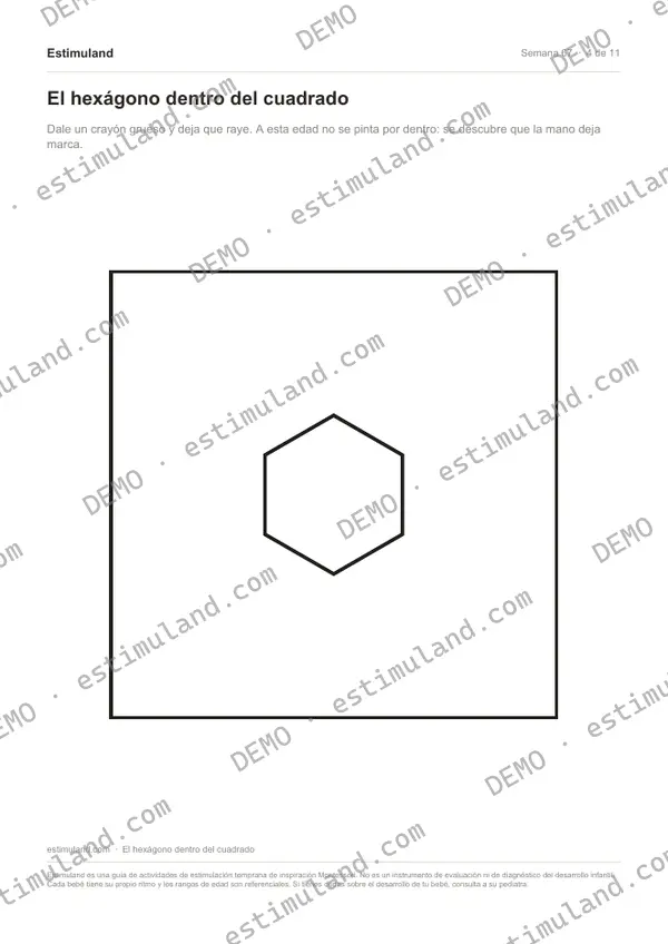 El hexágono dentro del cuadrado — hoja 4 de 11, en muestra
