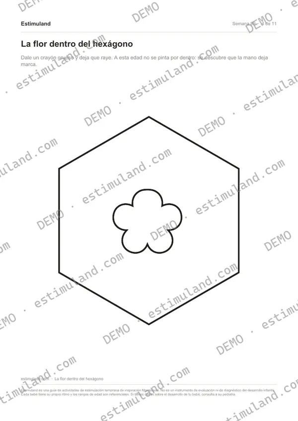 La flor dentro del hexágono — hoja 4 de 11, en muestra